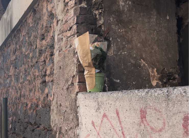 Morte di Elisabeta il dramma degli invisibili - FreePressOnline