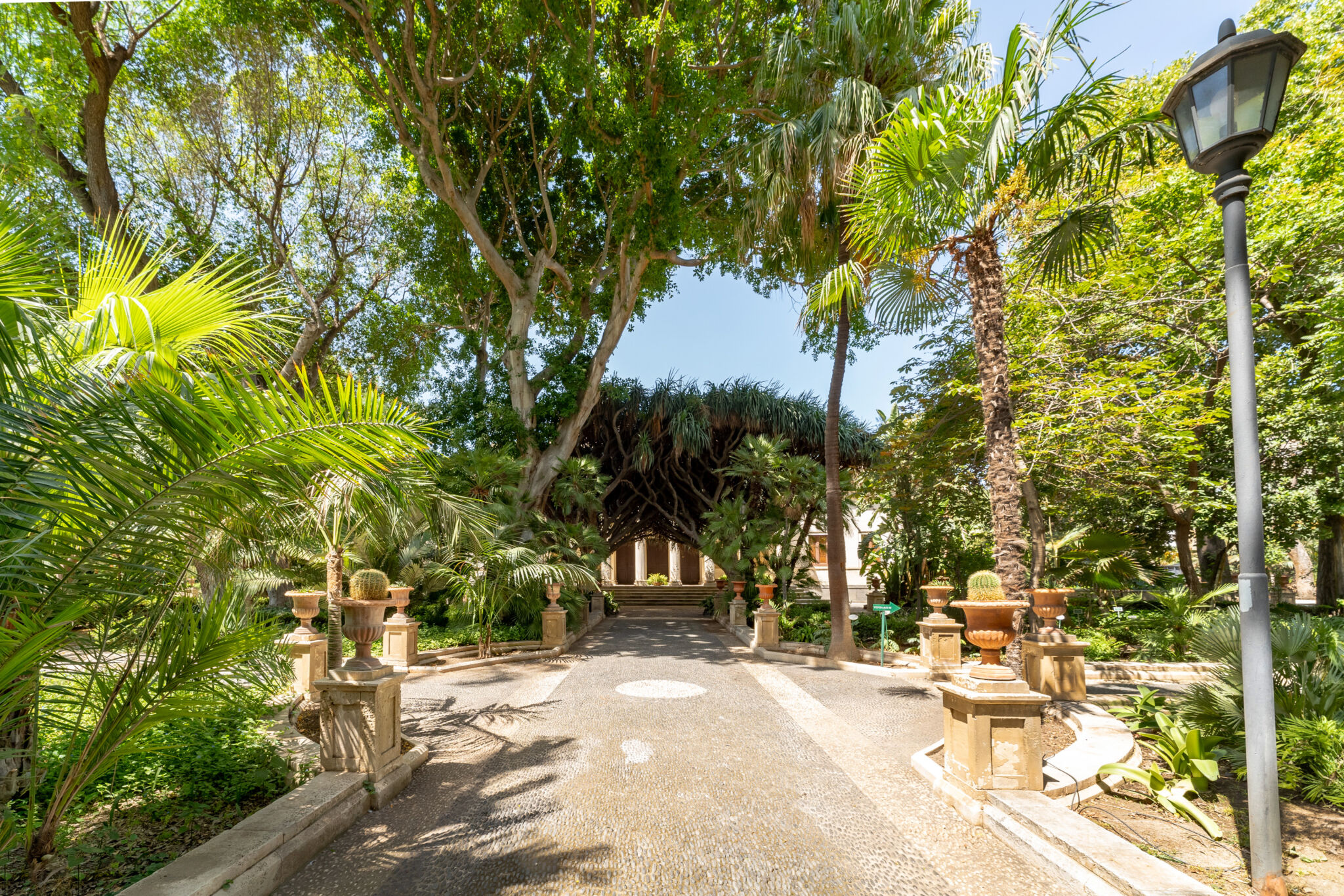 Primavera all’Orto Botanico di Catania