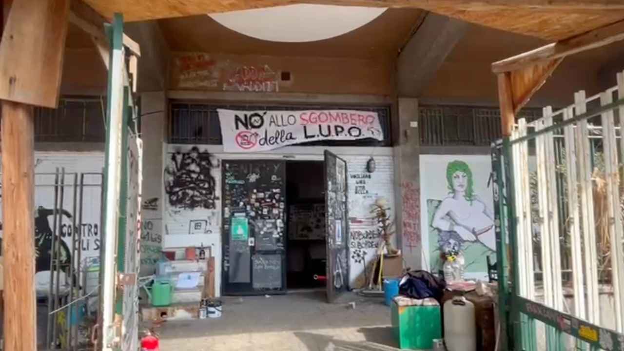 Palestra Lupo all’alba del giorno dopo | La Lettera degli occupanti