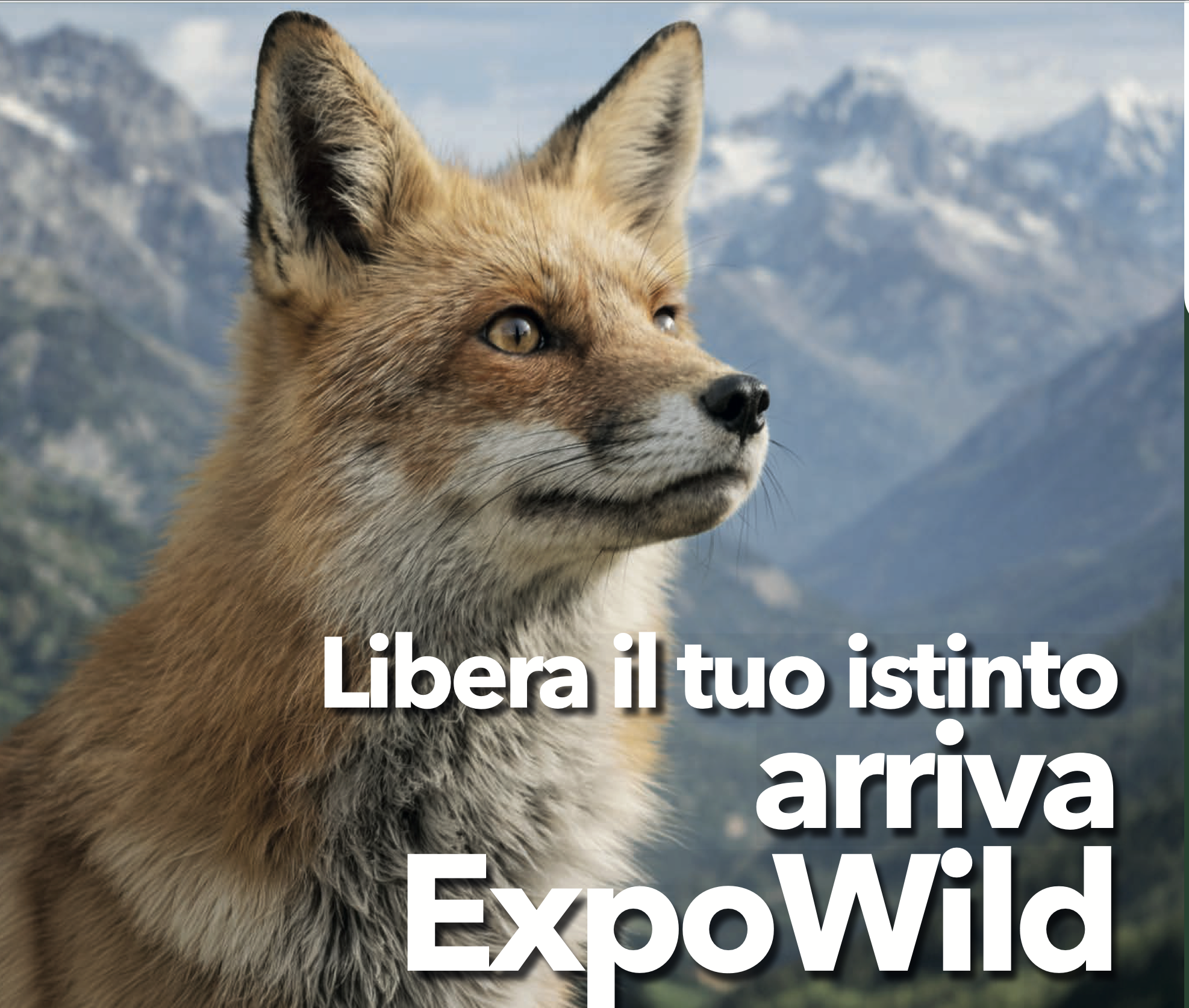 SiciliaFiera, Expo Wild al via