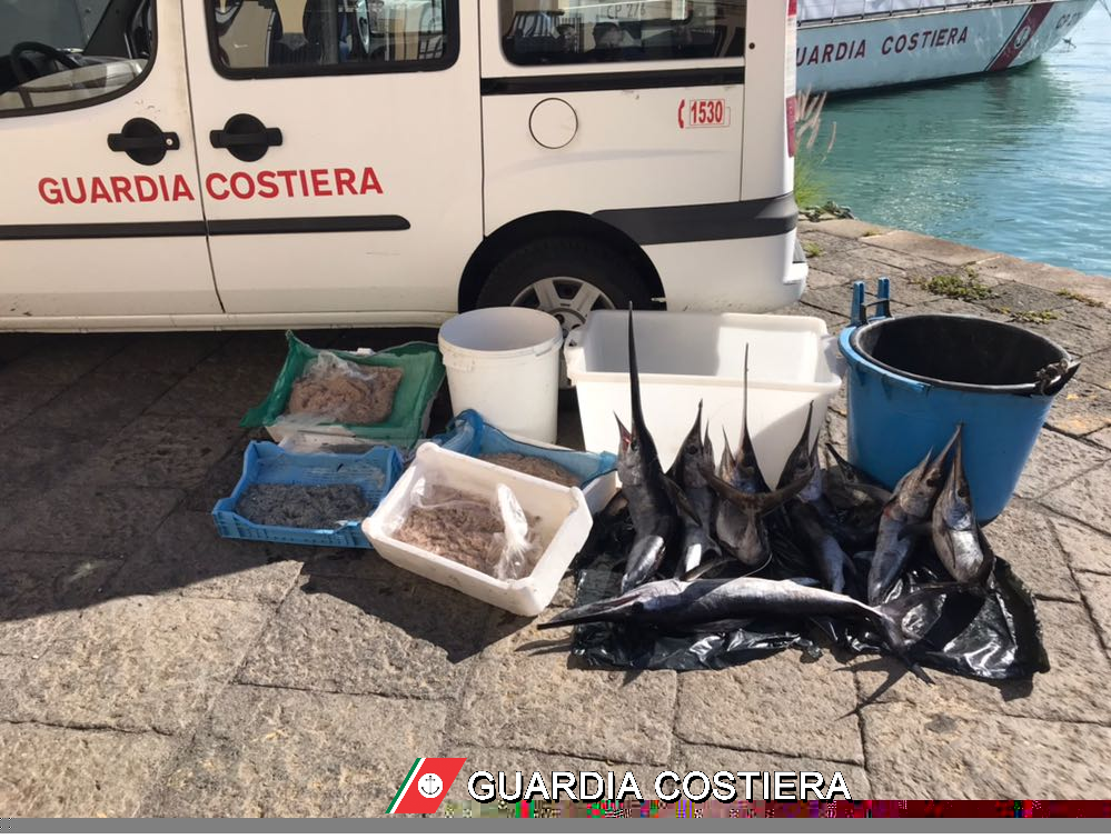 Catania, operazione pesca: 120mila € di multe