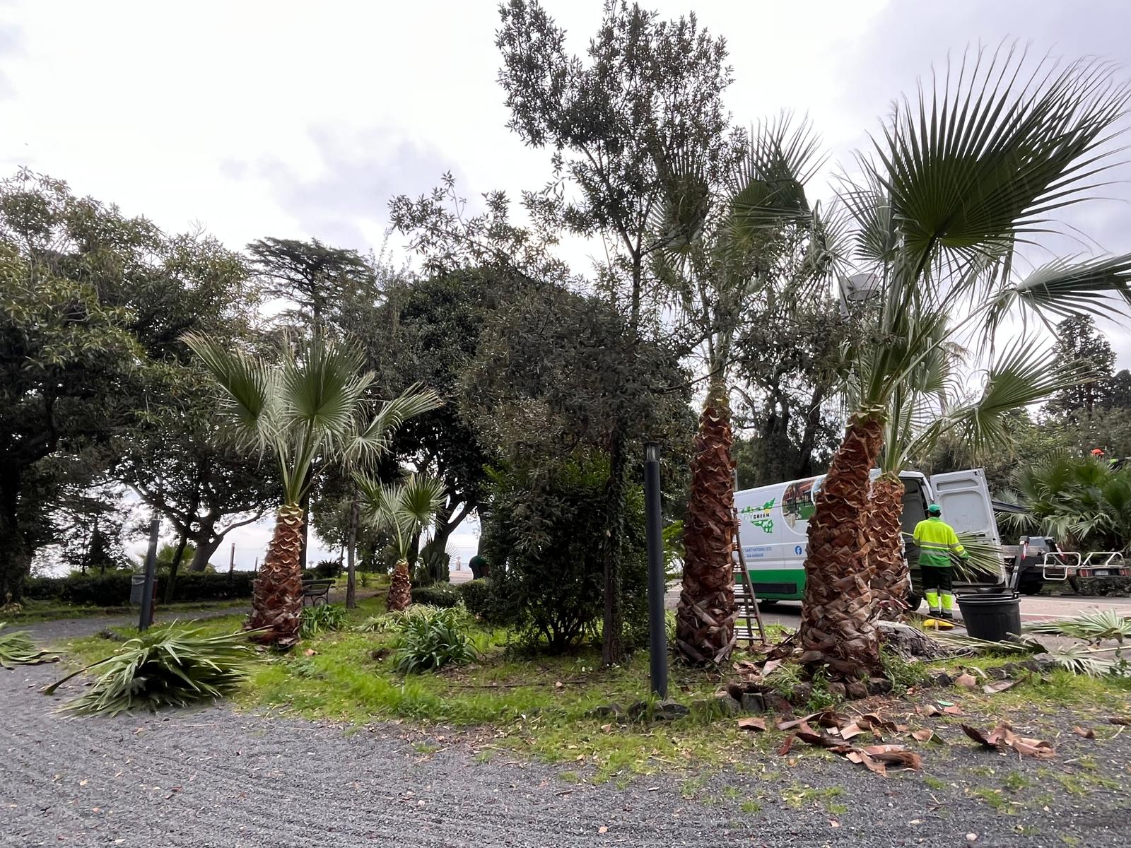 Acireale, Villa Belvedere: al via manutenzione straordinaria del verde