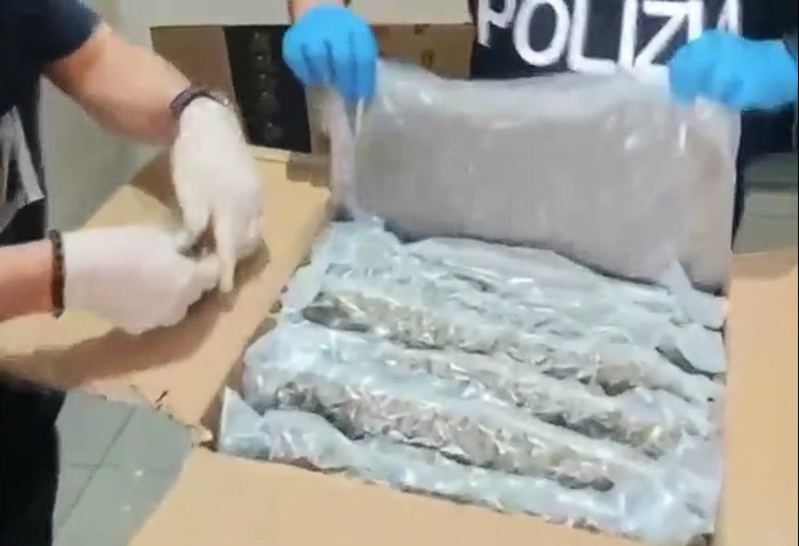 1 Arresto a Catania: droga adulterata e documenti falsi