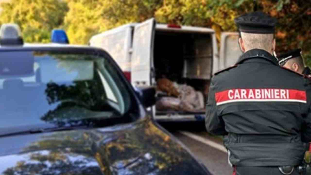 Scaricano rifiuti a bordo strada: bloccati in flagranza dai Carabinieri
