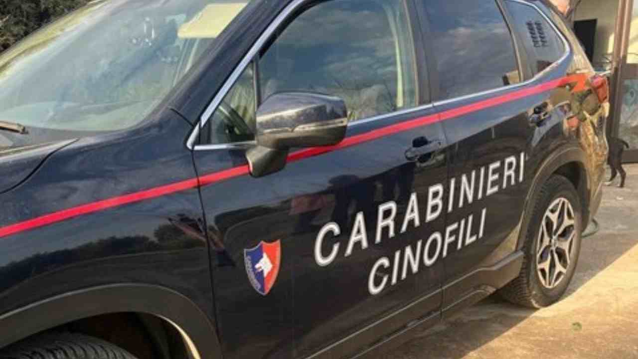 Belpasso, lancia droga dalla finestra: arrestato