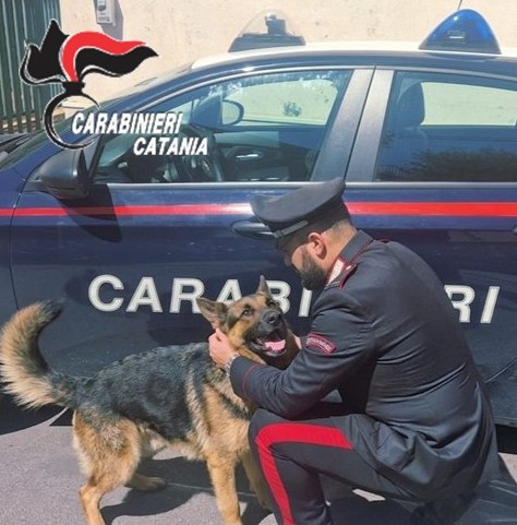 Cane chiuso in auto, denunciato