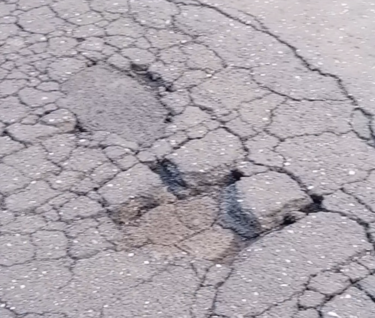 Via del Bosco: “Strada ridotta a trazzera”