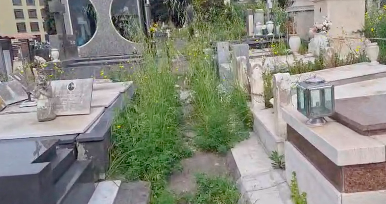 «Stabilizzato» il degrado del Cimitero di Catania