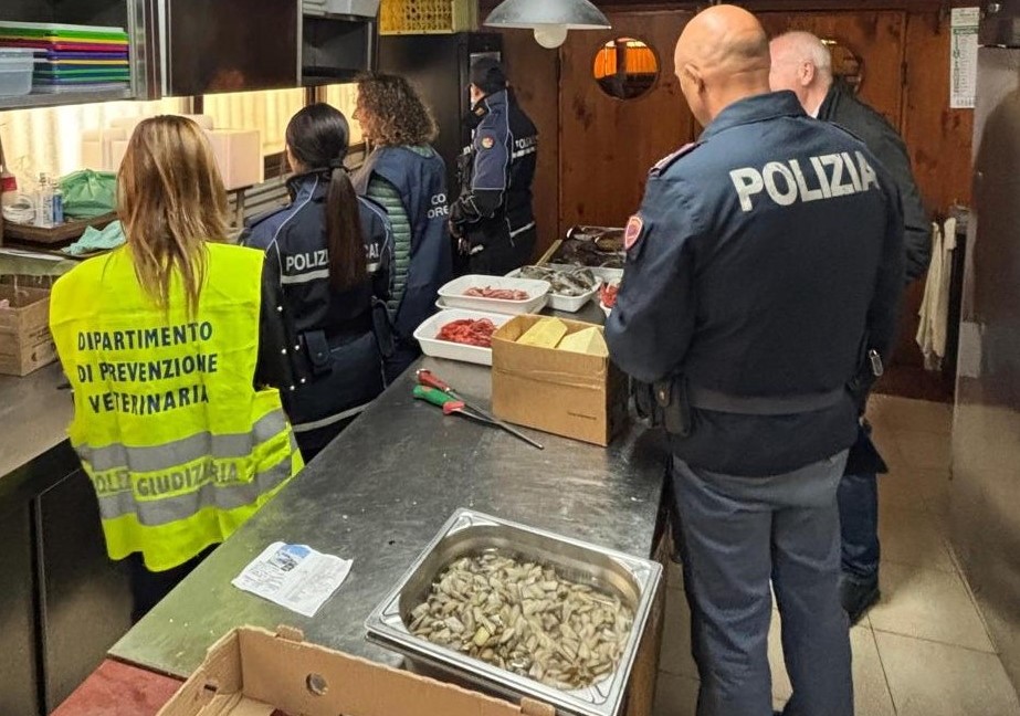Catania, chiuso laboratorio di un bar e sanzionato un ristorante