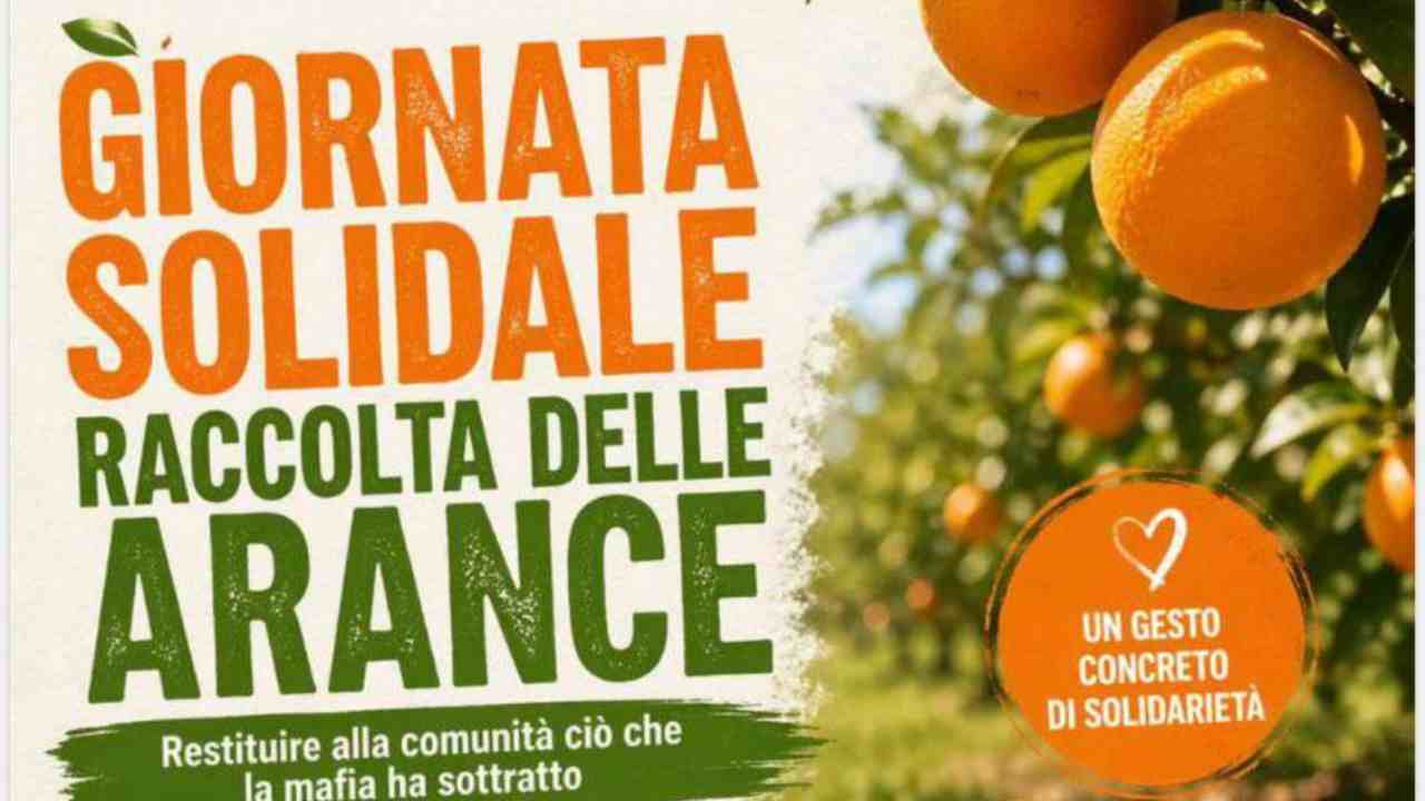 Beni confiscati: venerdì 8 maggio giornata solidale di raccolta arance con le scuole
