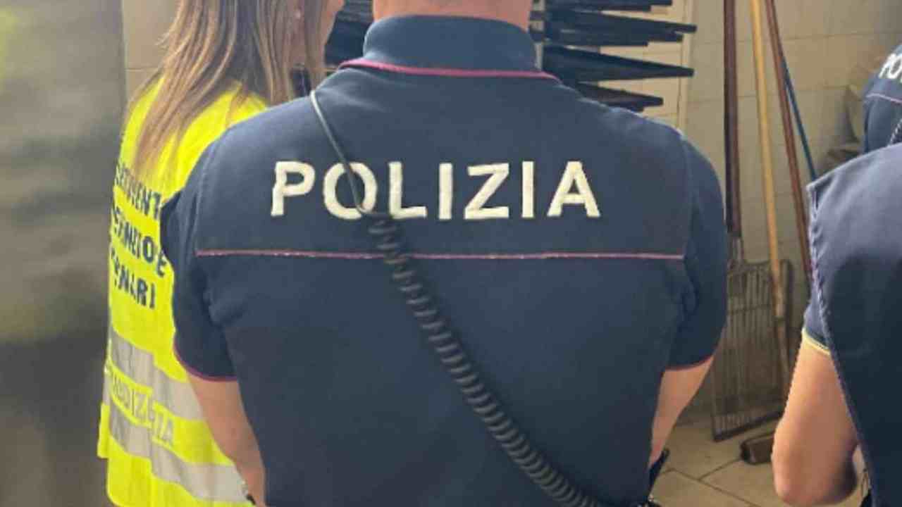 Controlli alimentari polizia – 20260525 FreePressOnline Santa Maria di Licodia, task force: lavoro nero e sanzioni oltre 33mila euro