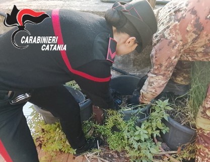 Foto Paternò (CT)-2 Cocaina e crack nascosti in casa, arrestato 21enne