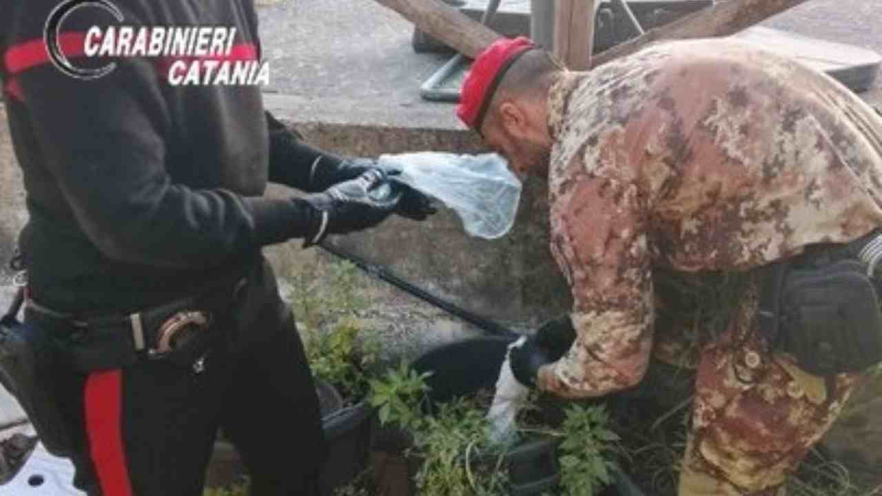Lancia la droga dal balcone: arrestato dai Carabinieri pregiudicato