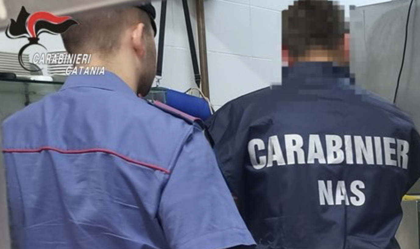 NAS Controlli in una panineria di Giarre, attività sospesa dai Carabinieri