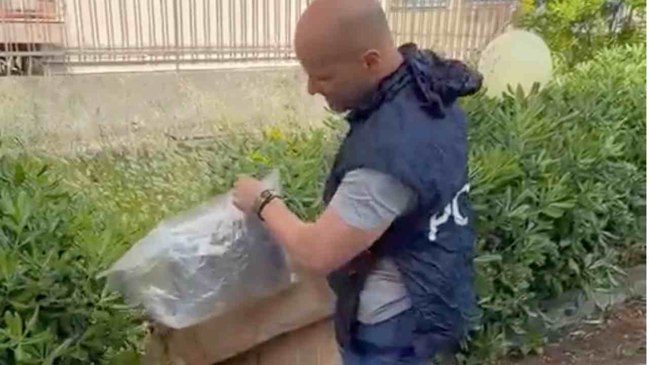 Nascondeva droga in casa – 20260511 FreePressOnline Nascondeva in casa 2,5 kg di marijuana: arrestato 33enne pregiudicato