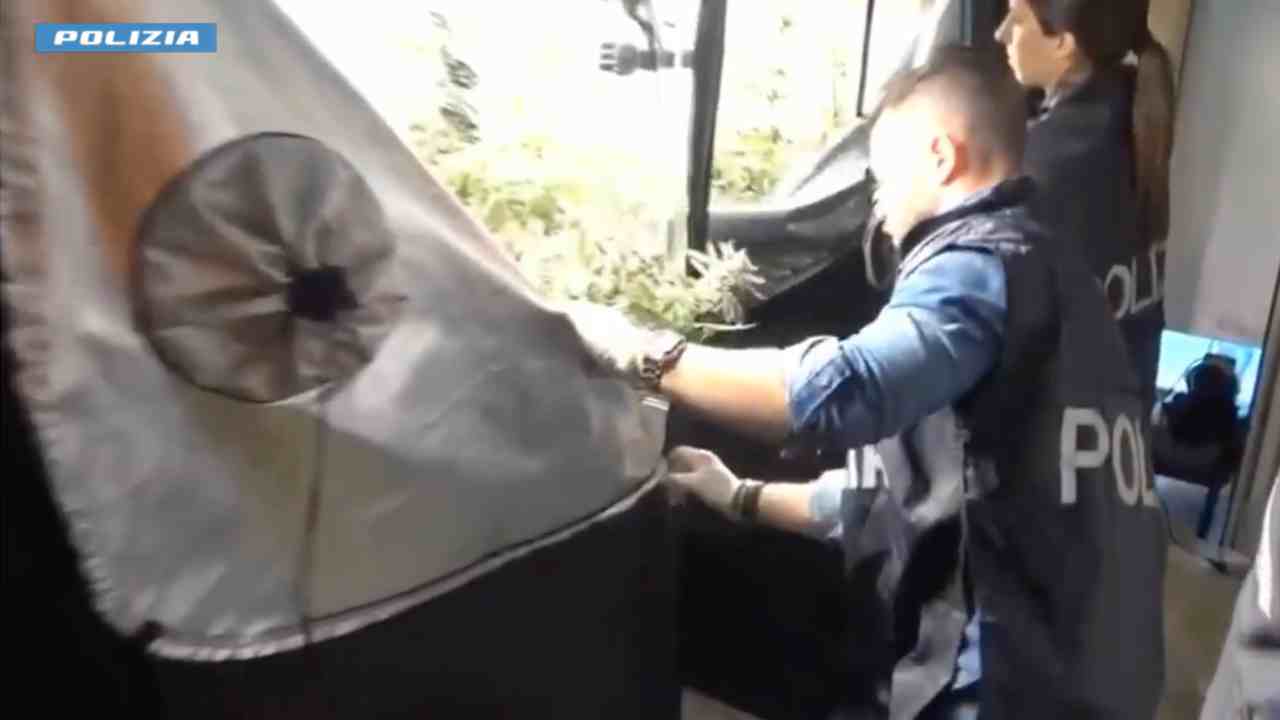 Marijuana indoor e documenti falsi: arrestato per “doppio business”