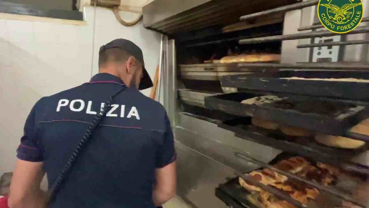 Task force polizia sequestri alimentari – 20260525 FreePressOnline Task force Polizia: alimenti non tracciati e veranda abusiva, 24mila euro sanzioni