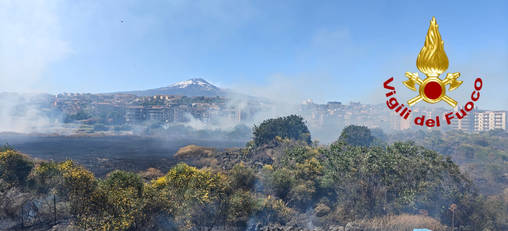 incendi Allarme incendi nelle periferie: “Servono più Vigili del Fuoco”