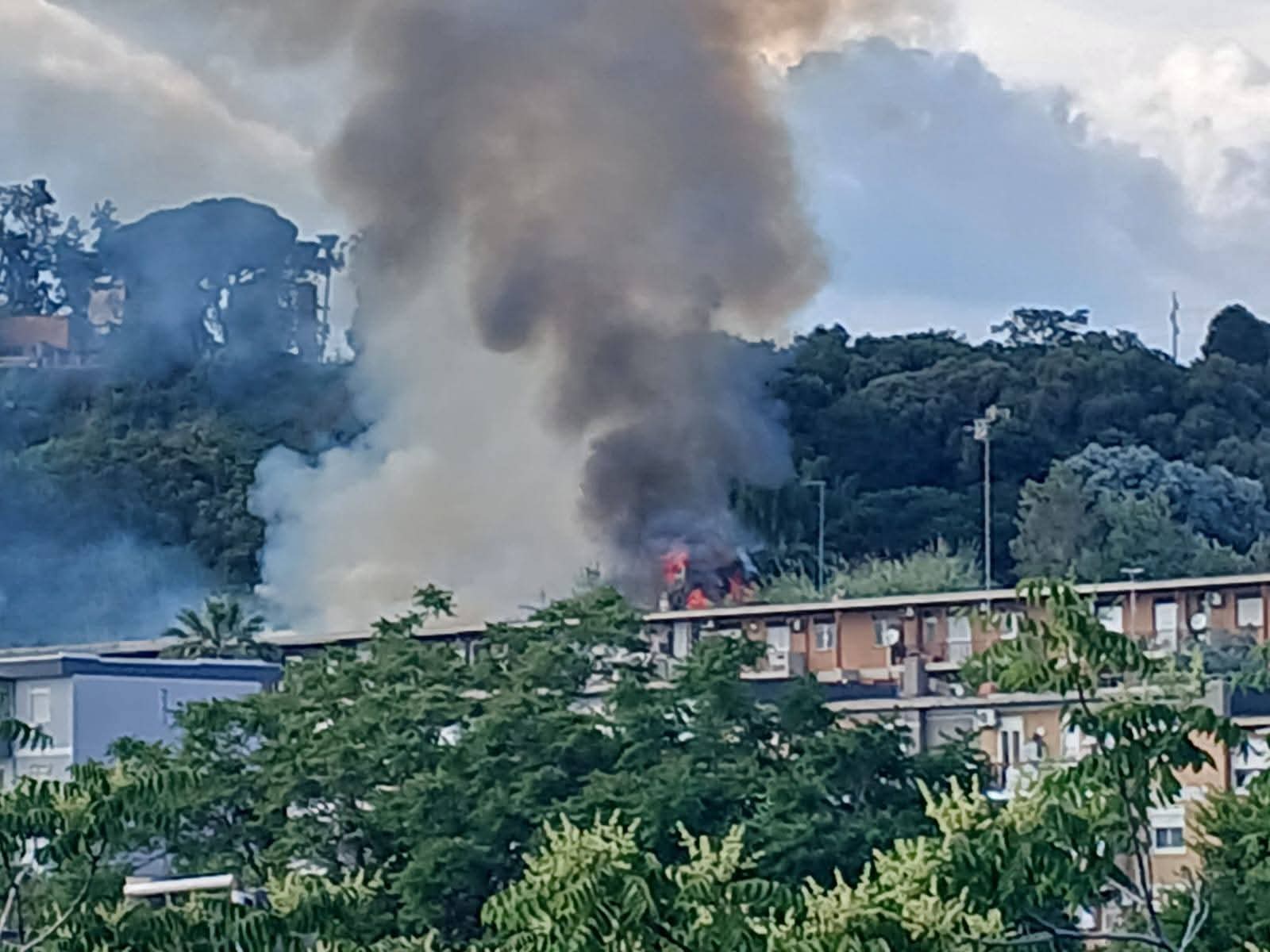 incendio timpa leucatia Incendio Timpa Leucatia, Free Green Sicilia: “Dietro c’é speculazione criminale”