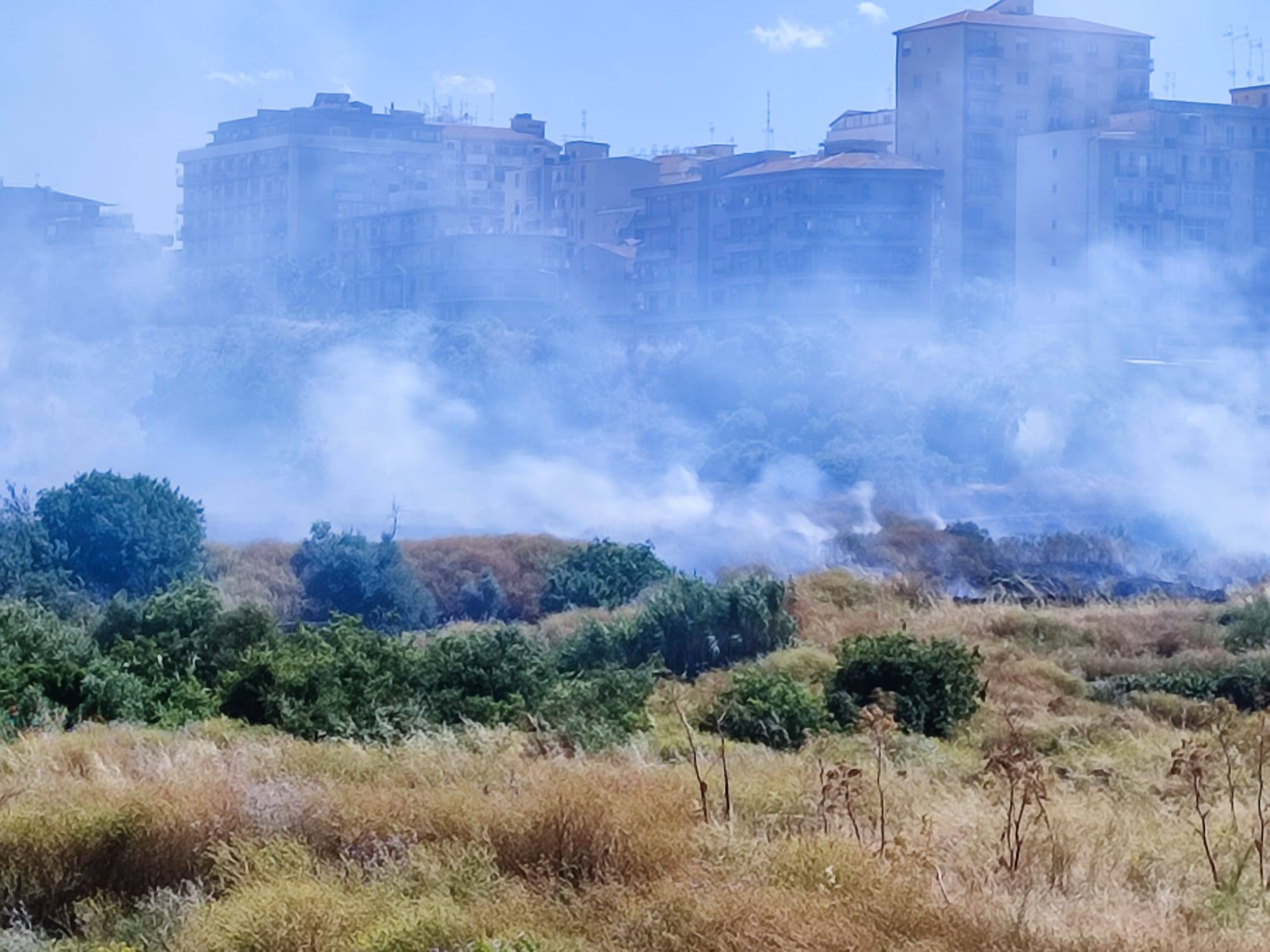 orti della susanna Orti della Susanna ancora in fiamme, Bonaccorsi: “La Procura intervenga”