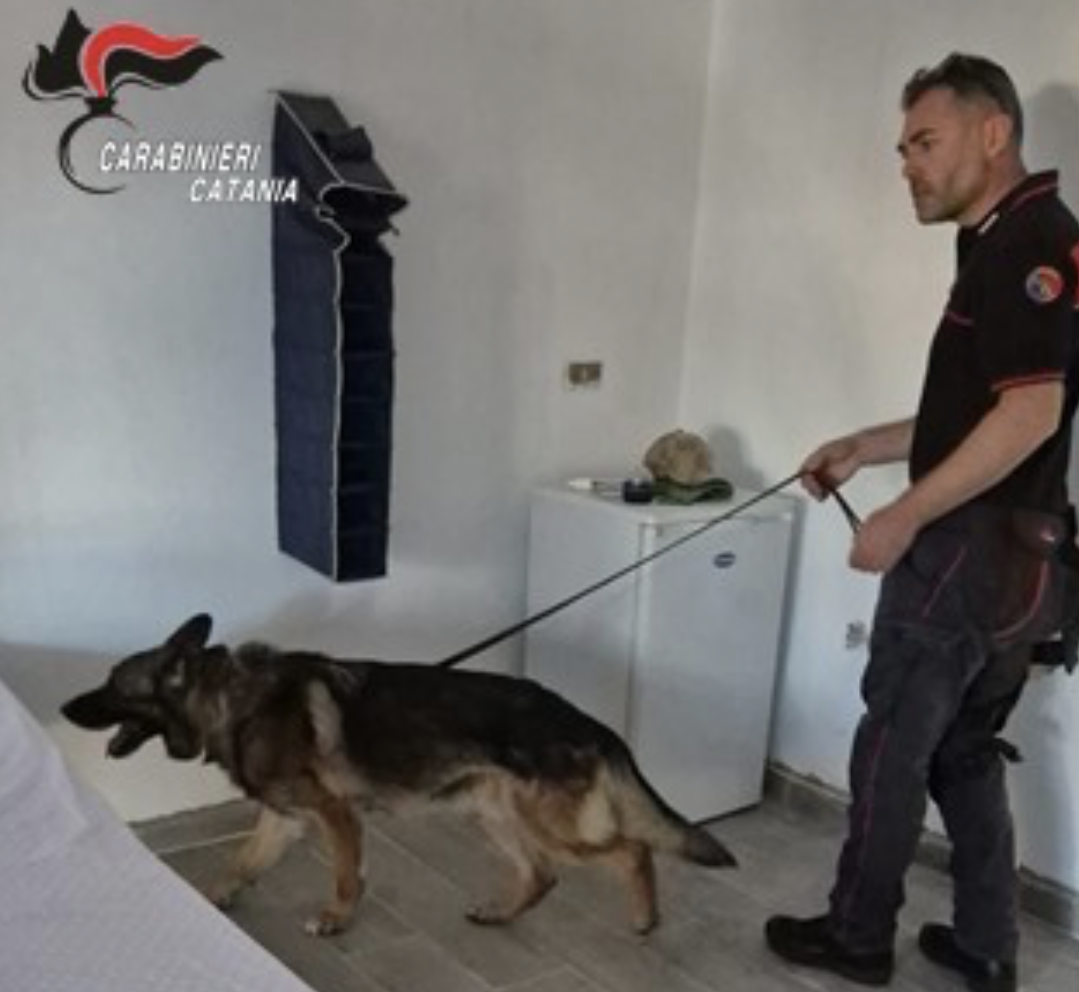 Biancavilla, cane antidroga fiuta il nascondiglio Biancavilla, cane antidroga fiuta il nascondiglio