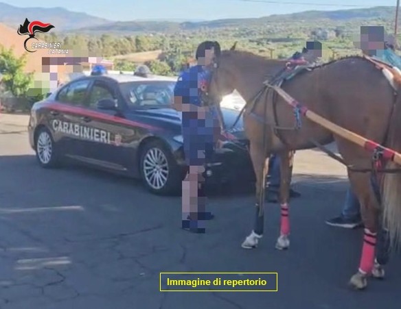 Corsa clandestina nicolosi Corsa clandestina di cavalli bloccata a Nicolosi