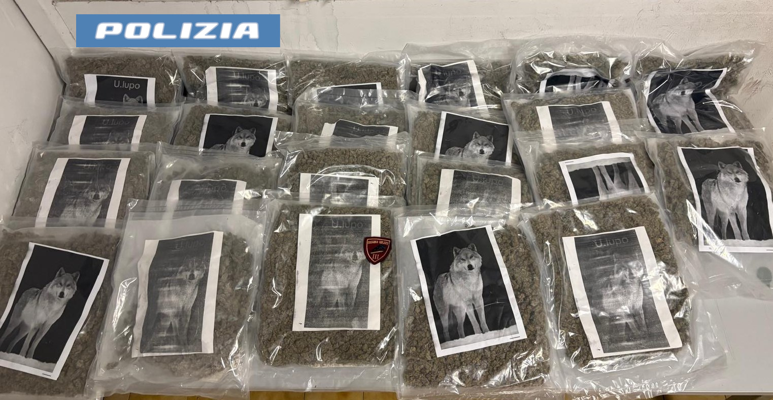marijuana vaccarizzo Vaccarizzo, sequestrati 20 chili di marijuana
