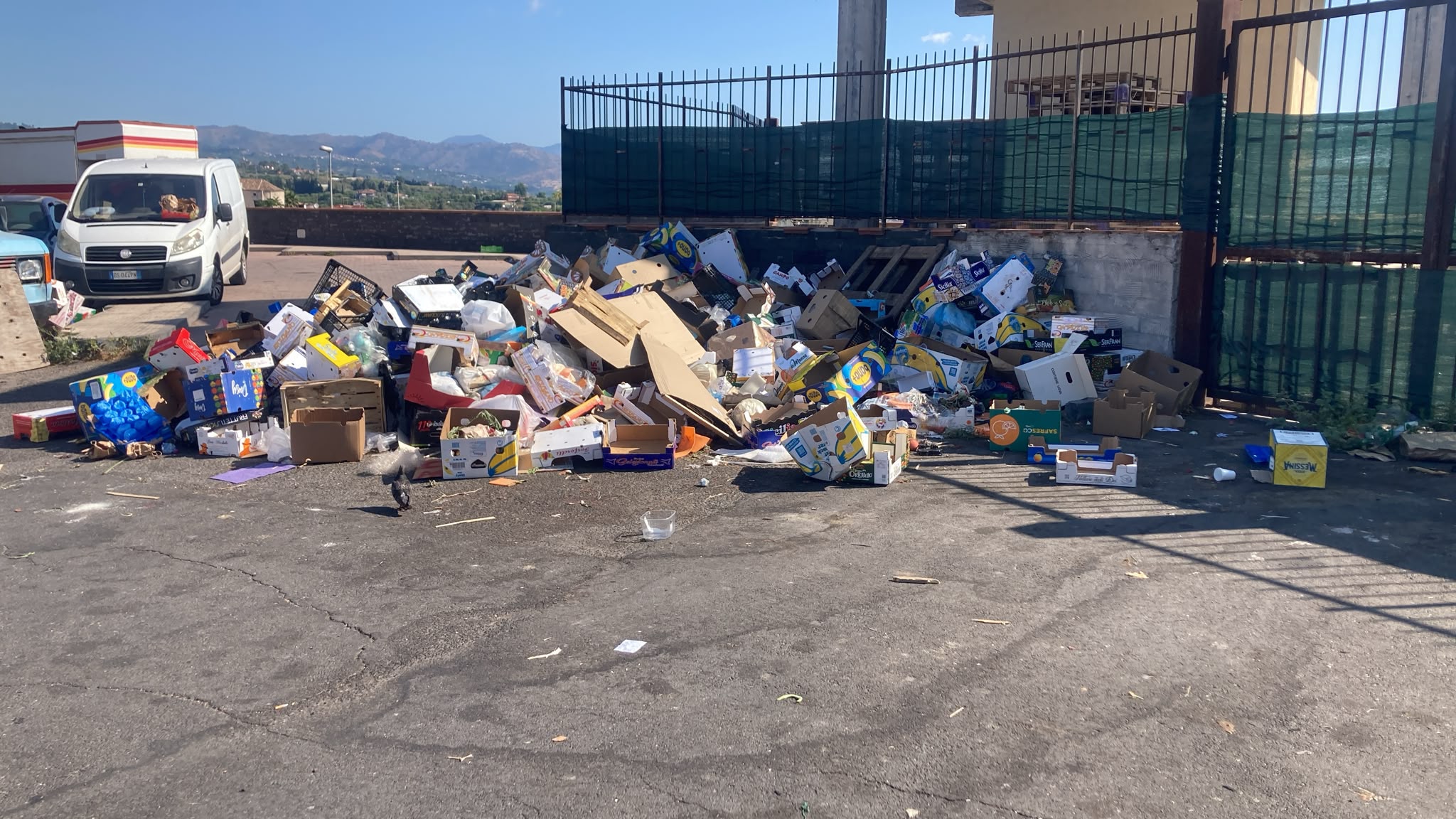 Mercato ortofrutticolo giarre Giarre, bonificata area mercato ortofrutticolo