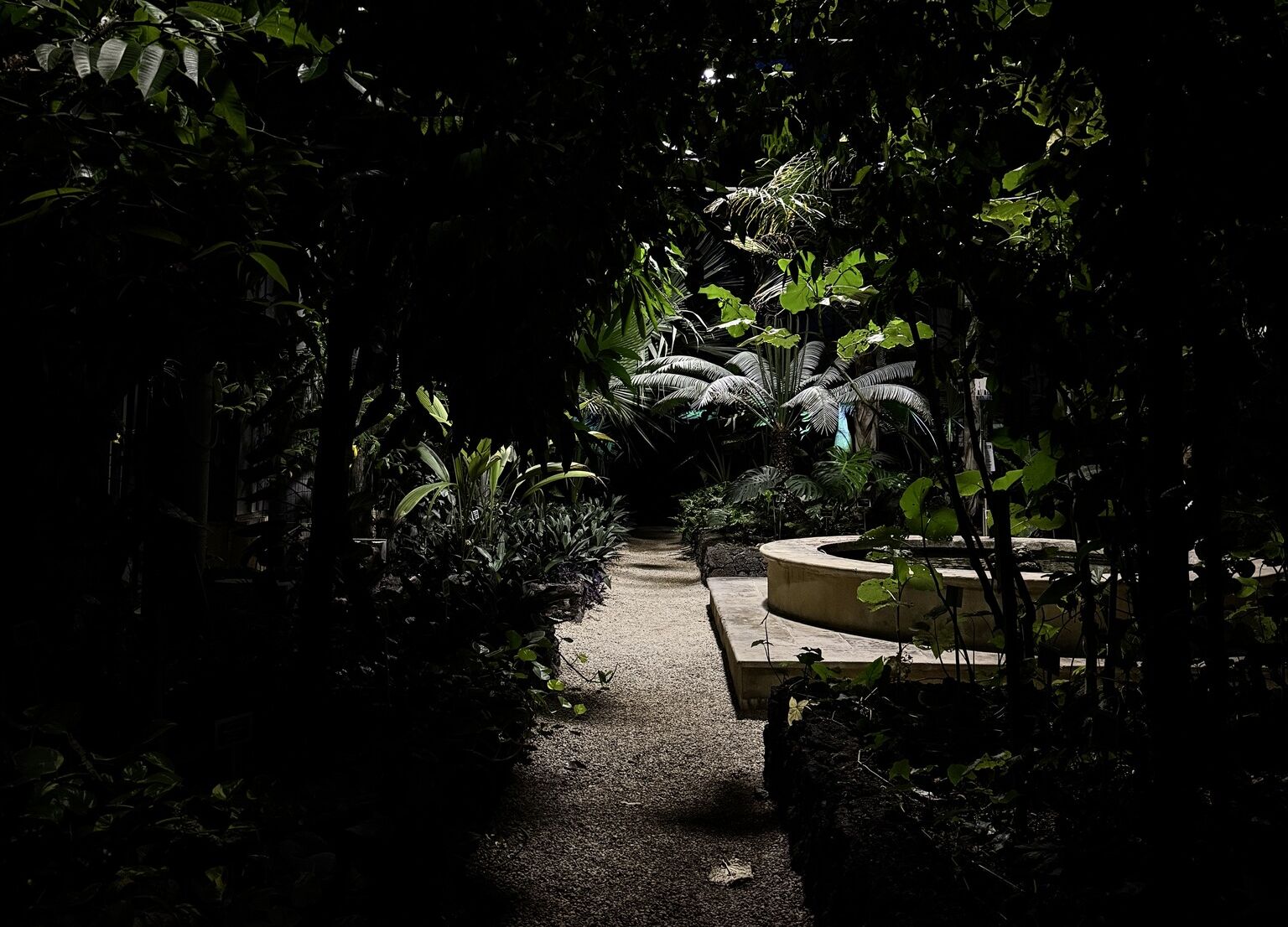 Orto_Botanico (1) Bella di notte: 8 agosto 2026 visite all’ Orto Botanico di Catania