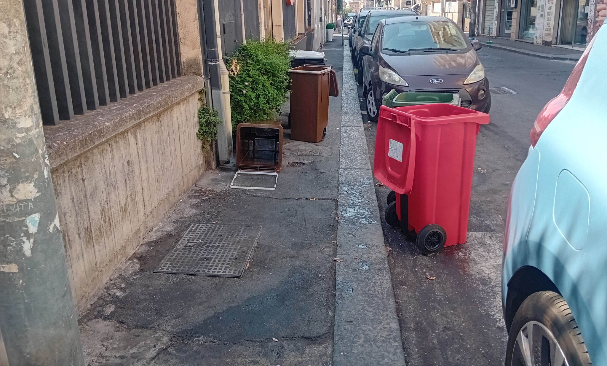 Tanto fetore in via del Bosco