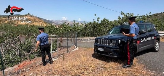 Tentato furto di pistacchi a Bronte, arrestato un 64enne