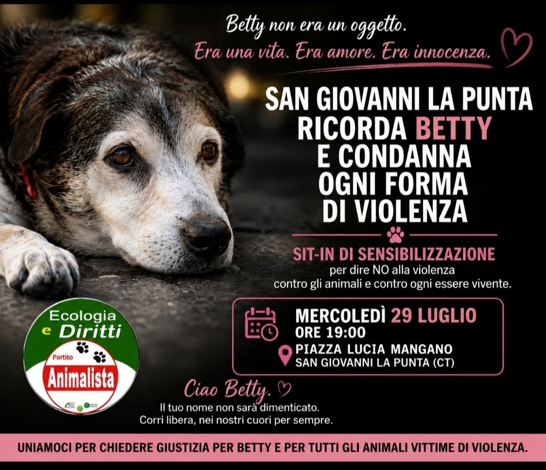 San Giovanni La Punta ricorda la cagnetta Betty