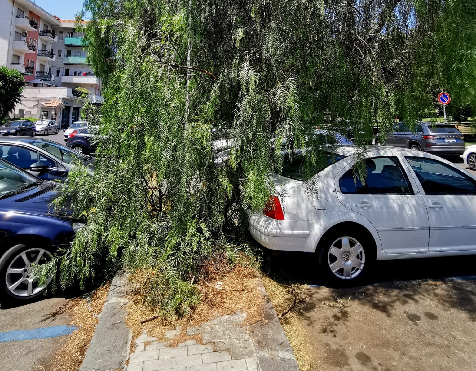 maria spampinato borgo-sanzio intervnti via giuffrida castorina e piazza aldo moro (2) Vulcania, strade dissestate e verde fuori controllo