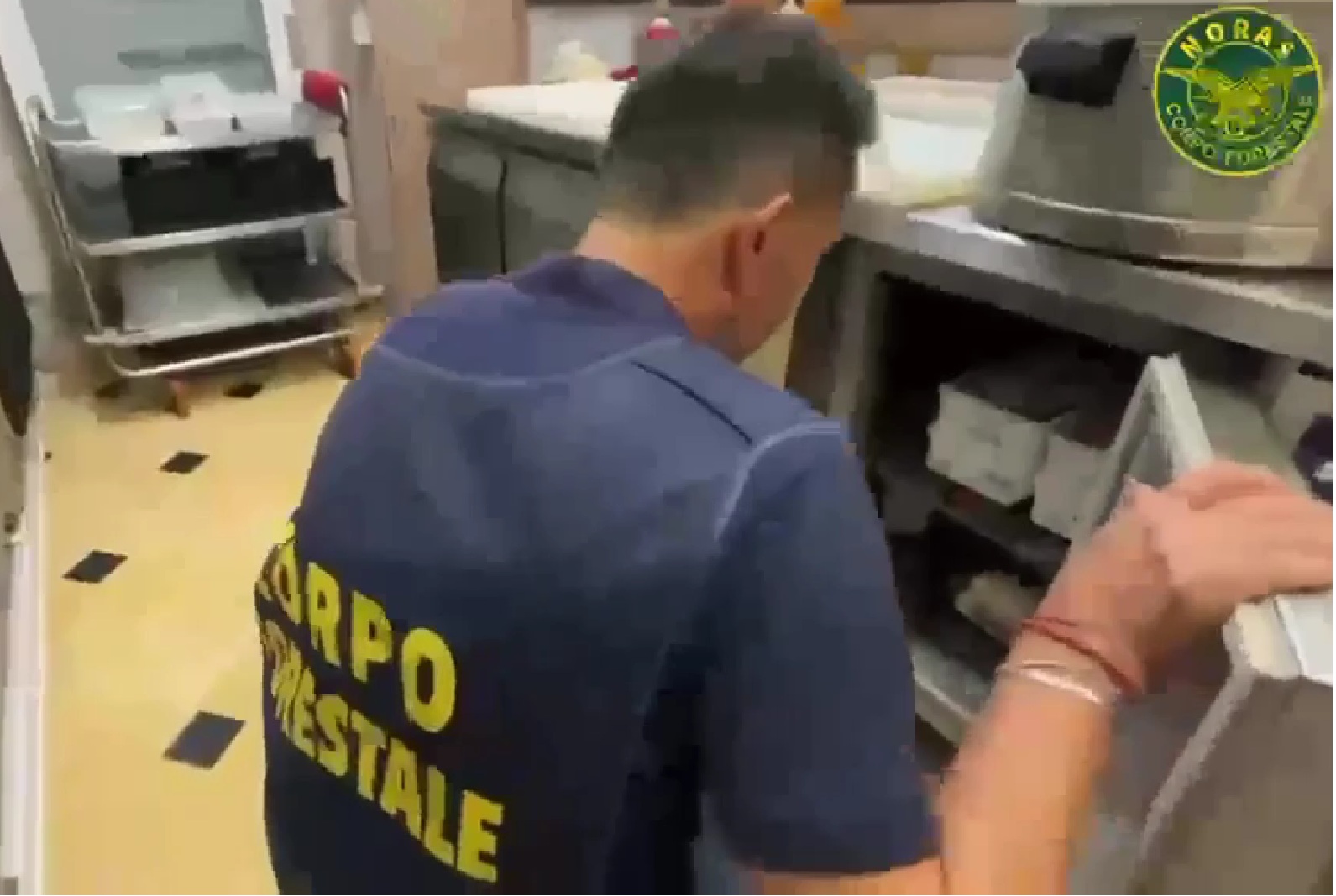 2 Controlli tra Scogliera e Playa: sanzioni per 26.600 euro