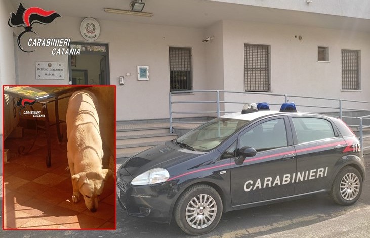 Foto Mascali Cane lasciato al sole sul balcone, denunciato un 50enne a Mascali