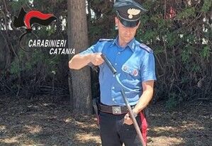 Foto Mineo Mineo, lite per la frutta: 80enne esce il fucile