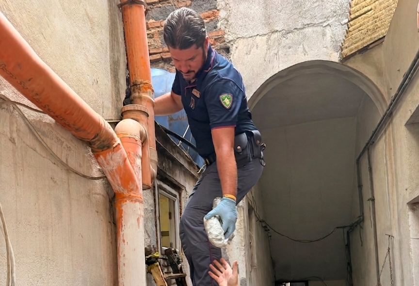NASCONDE LA DROGA SUL TETTO MA DIMENTICA UNA DOSE IN CORTILE LA POLIZIA DI STATO ARRESTA 41ENNE RUMENO. San Cristoforo, Briska trova la marijuana sul tetto
