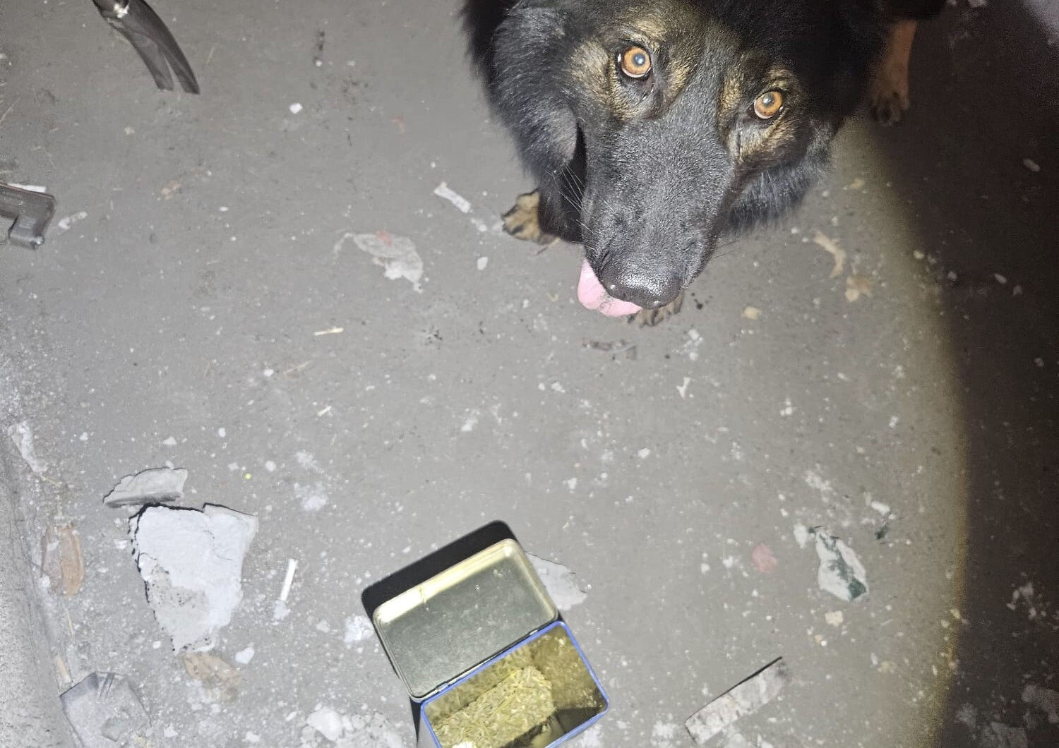 OLTRE 3,5 KG DI DROGA IN GARAGE PER LA SUA ATTIVITA’ DI SPACCIO ON LINE PUSHER CATANESE INDIVIDUATO E DENUNCIATO DALLA POLIZIA DI STATO 3 Nascondeva marijuana nel garage