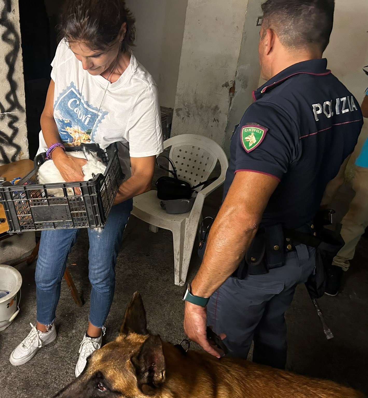 OPERAZIONE ANTIDROGA A SAN CRISTOFORO. FERMATI TRE PUSHER E SMANTELLATA UNA PIAZZA DI SPACCIO (2) San Cristoforo, operazione antidroga, salvato anche un coniglio