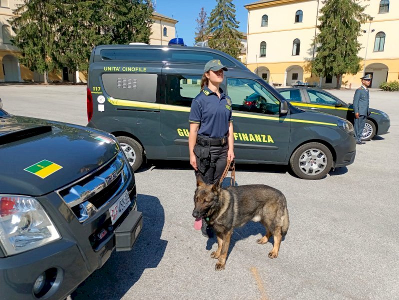 104694 Sequestro di materiale scolastico a Bronte