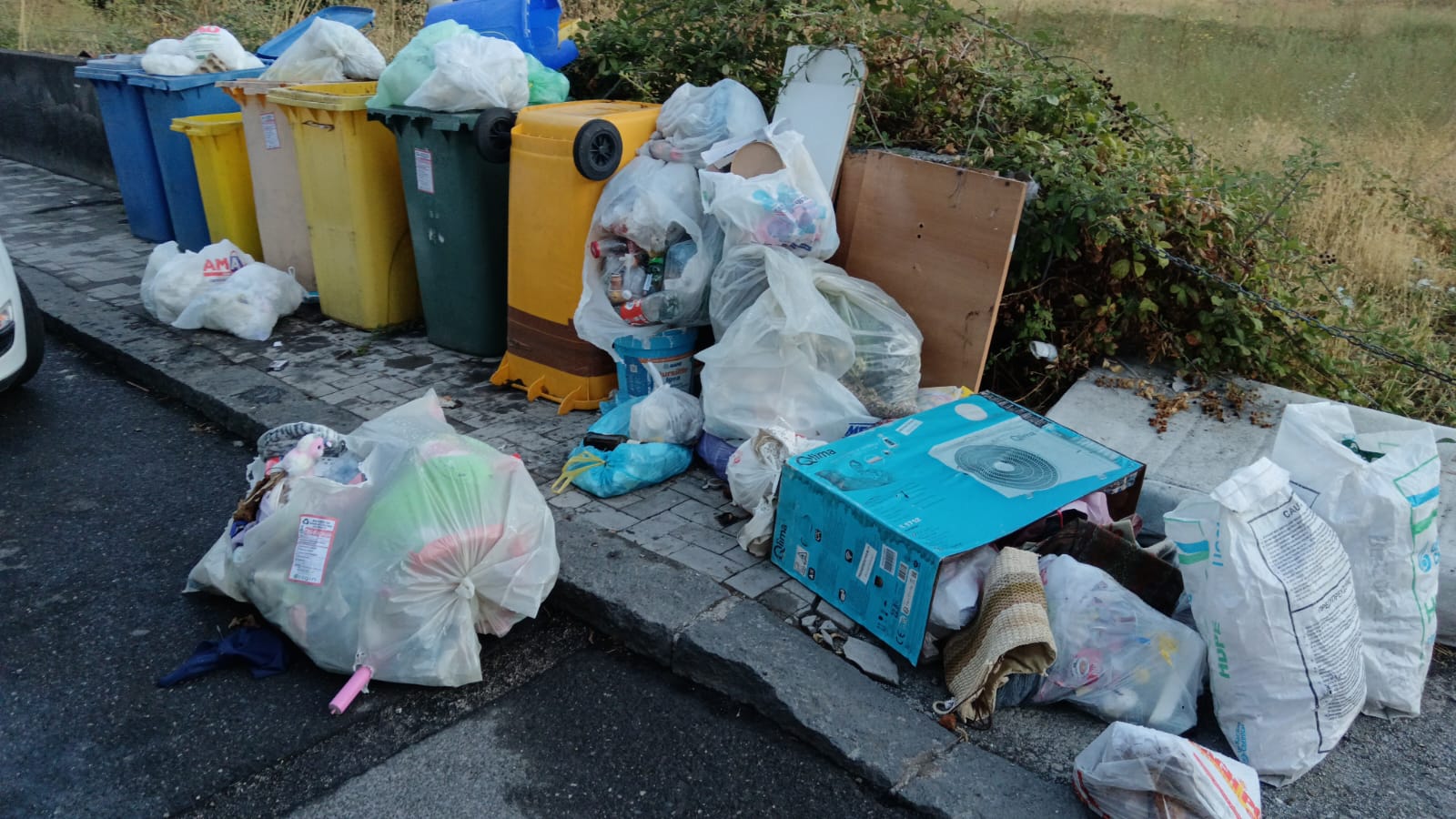 controlli differenziata Acireale, raccolta differenziata: al via la nuova campagna informativa