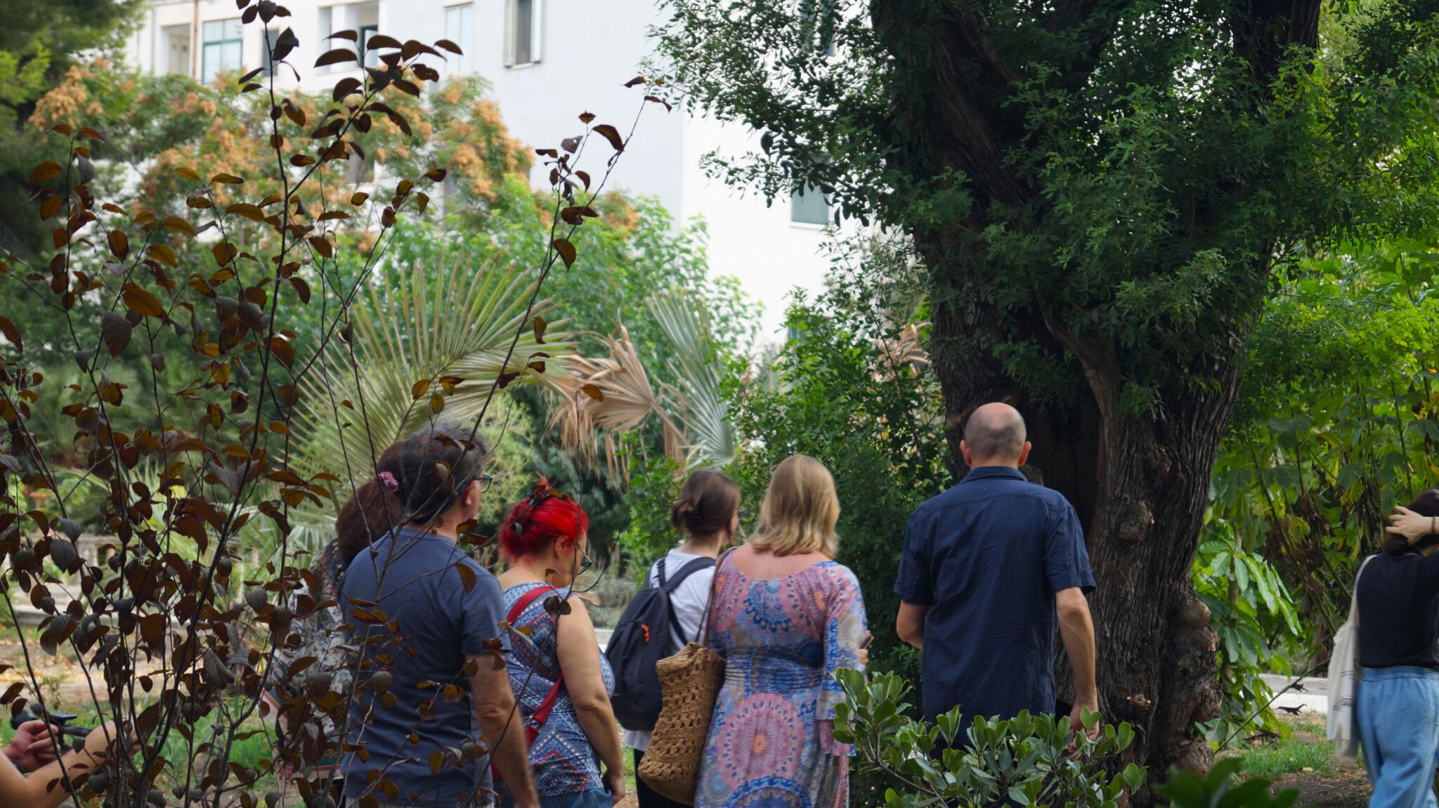 Catania, domenica alla scoperta di Orto Botanico e Villa Cerami