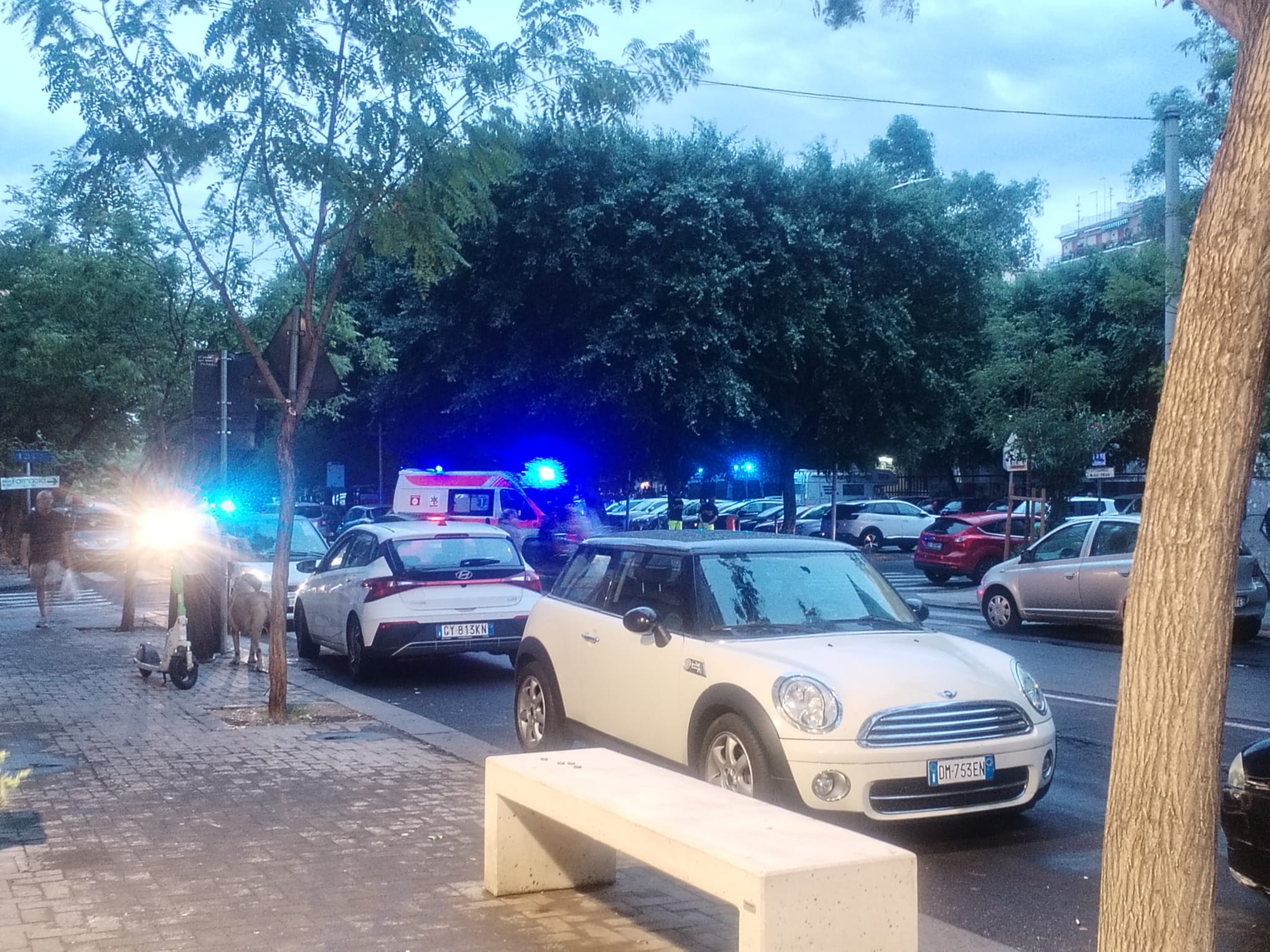 rissa catania barletta Catania-Barletta, violenta rissa a piazza Montessori prima della partita