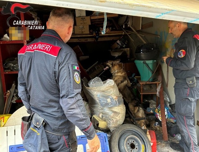 Foto Motta S. Anastasia (CT) Droga nascosta tra casa e garage: arrestato 18enne nel catanese