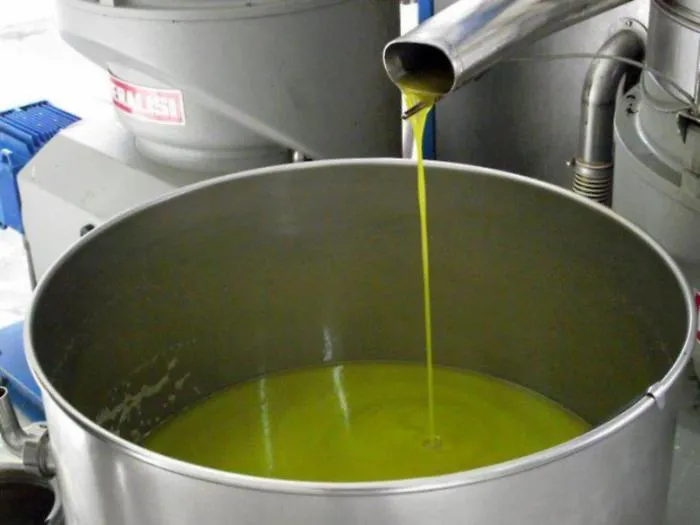 Crisi Agricoltura Sicilia Olio siciliano, stop a raccolta e molitura: i Comuni lanciano l’allarme