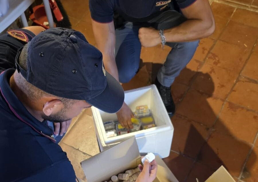 – MAXI SEQUESTRO DI FARMACI DOPANTI IN UNA CASA DI CALTAGIRONE PER UN VALORE DI 350 MILA EURO PROPRIETARIO ARRESTATO DALLA POLIZIA DI STATO Caltagirone, deposito con oltre 5 mila farmaci dopanti