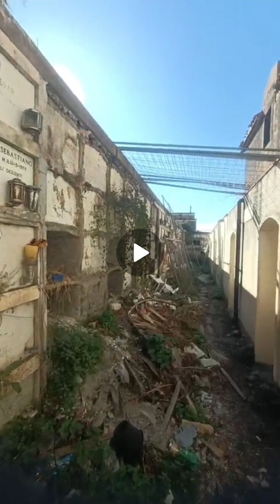 Paternò, degrado al cimitero monumentale: esposto in Procura