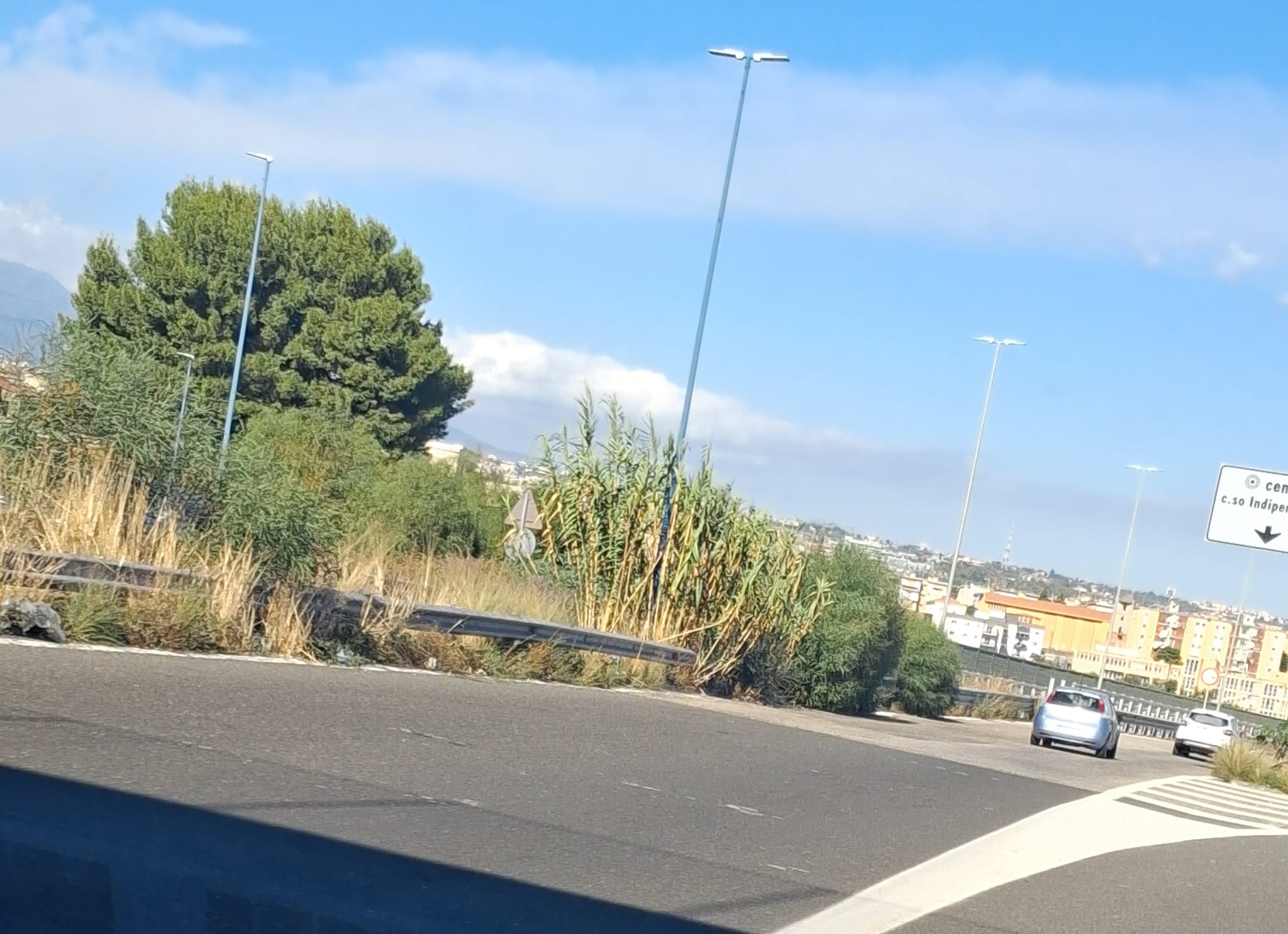 degrado asse attrezzato Catania, vegetazione e rifiuti sull’Asse Attrezzato